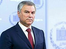 Володин объяснил, почему губернаторам надо дать возможность возглавлять регионы более двух сроков
