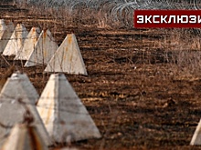 Около 1,5 млн "зубов дракона" установили военные РФ по всей линии соприкосновения
