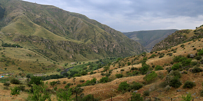 Сбор лекарственных трав начался в Таджикистане