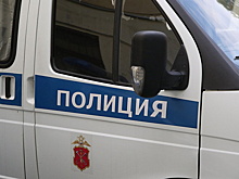86-летняя пенсионерка зарезала свою 52-летнюю дочь в Москве