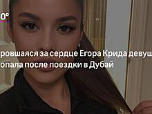 Бывшего британского военного задержали в Дубае за торговлю наркотиками