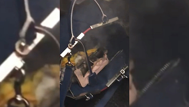 Взорвавшийся аккумулятор вызвал пожар в самолете Royal Brunei Airlines