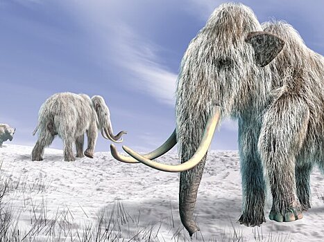 Американскому стартапу выделили деньги на восстановление популяции мамонтов