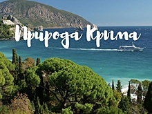 Сотрудники экоцентра «Экошкола Кусково» рассказали о природе Крыма