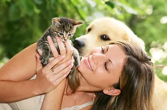 Россияне назвали самых популярных домашних животных