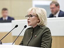В Сенате предложили вернуть сталинскую статью о саботаже