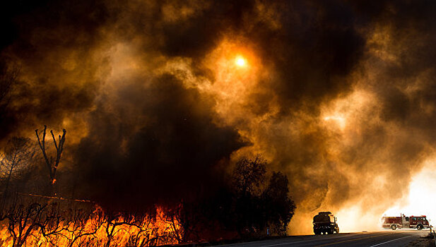 Пожар в Лос-Анджелесе охватил 3,5 тысячи гектаров