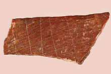 Найден самый древний рисунок денисовца