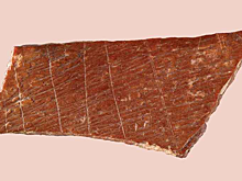 Найден самый древний рисунок денисовца