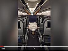 В Сети прославилась стюардесса, показавшая трюк стоя вверх ногами в самолете