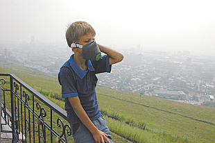 Красноярские учёные исследуют загрязнения воздуха с помощью светлячков
