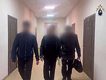 В Подмосковье мужчина убил соседку и ее сына из-за шума