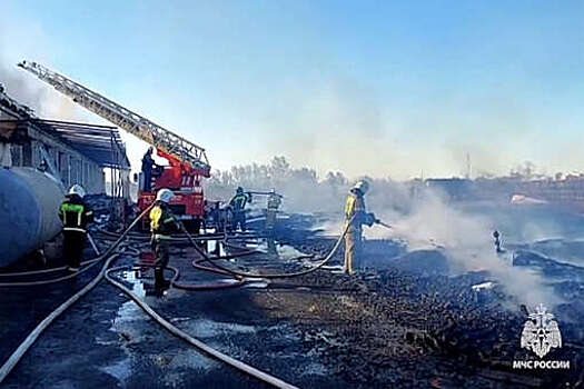 МЧС: пожар на территории кирпичного завода в Смоленске полностью ликвидирован