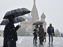 Синоптик Вильфанд: снежный покров не сформируется в Москве в ближайшую неделю