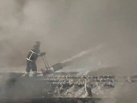 В Тамбовской области ликвидировали открытое горение цистерн грузового поезда