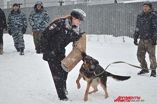 Служебных собак, бронетранспортер и автомат покажут в питомнике К-9