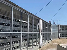 В Иркутской области накрыли нелегальную майнинговую ферму
