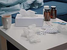 Эксперт рассказал, как лечить грипп народными средствами