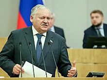 Депутат Затулин считает, что выборы в Европарламент не изменят политику ЕС