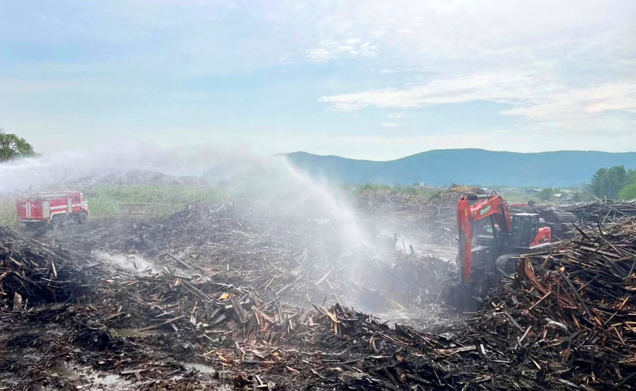 Прокуратура выяснит причину пожара на территории лескомплекса «Энергия» в Богуславце