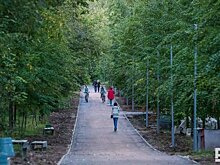 В воздухе Казани зафиксировали повышенную концентрацию формальдегида