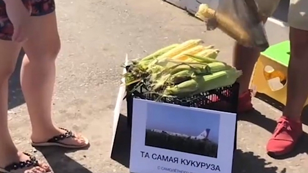 Саратовский маркетолог разыграл земляков «целебной» кукурузой с места приземления А321