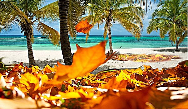 Турагенты сообщили об изменениях в условиях перебронирования туров у «Пегаса»