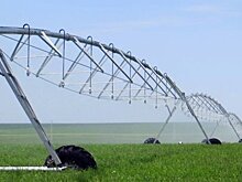 Марат Зяббаров: система мелиорации Татарстана постоянно признается одной из лучших в стране