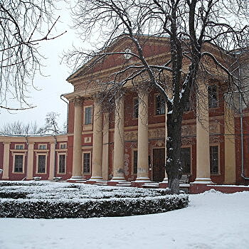 Директором одного из старейших музеев Украины хотят назначить художника-майдановца