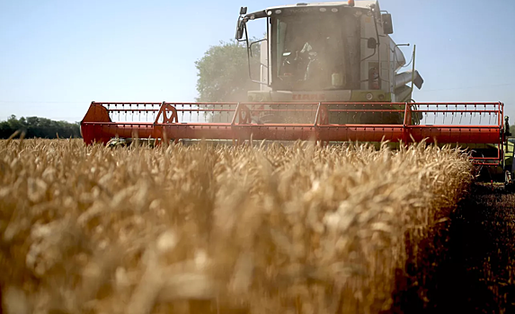 Украина призвала создать «зерновой ОПЕК» без России