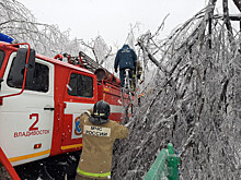 Не прошло и года: "Героев-ликвидаторов" последствий ледяного дождя наградили в Приморье