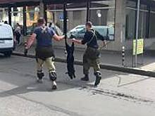 В Калининграде отловщики тащили бездомную собаку за задние лапы