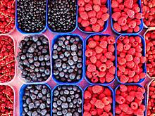 Названы причины снижения урожайности ягодных культур в России