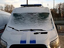 На российском сельхозпредприятии незаконно жгли человеческие части тел