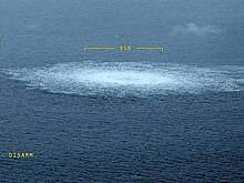 Участие полковника СБУ в подрыве «Северных потоков» прокомментировали