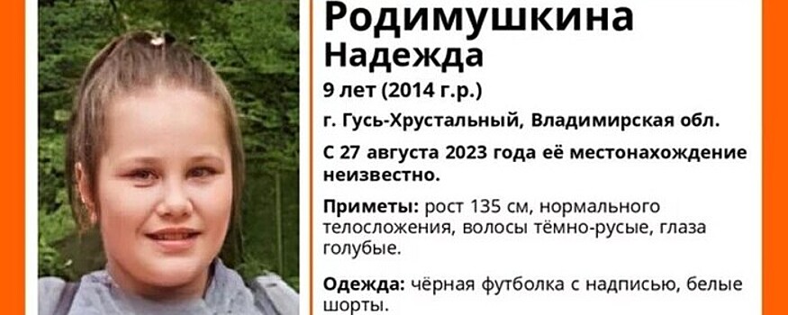 В Гусь-Хрустальном волонтёры начали поиски девочки, пропавшей 27 августа