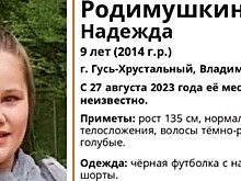 В Гусь-Хрустальном волонтёры начали поиски девочки, пропавшей 27 августа