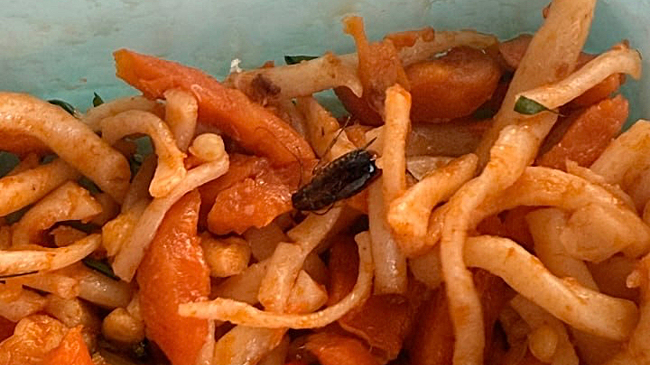 В общепите Белова посетителя познакомили с тараканами в лагмане