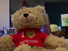 Парень взял плюшевого мишку, добавил немного смекалки и за одну ночь заработал 40 тысяч рублей
