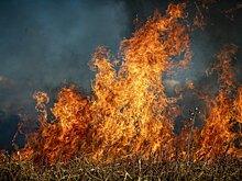 Пик ландшафтных пожаров в Удмуртии может наступить в начале мая