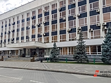 32 недели до выборов: чем занимались депутаты Краснодарского края