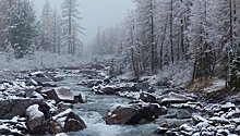 На Алтае подсчитали, сколько туристов посетило открытие зимнего турсезона