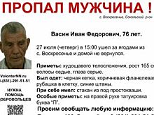 Пропавшего 76-летнего Ивана Васина ищут в Сокольском районе