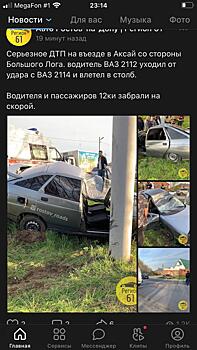 Водитель и пассажир пострадали в ДТП в Ростовской области