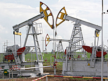 Минприроды предложило отдавать иностранцам найденные ими месторождения