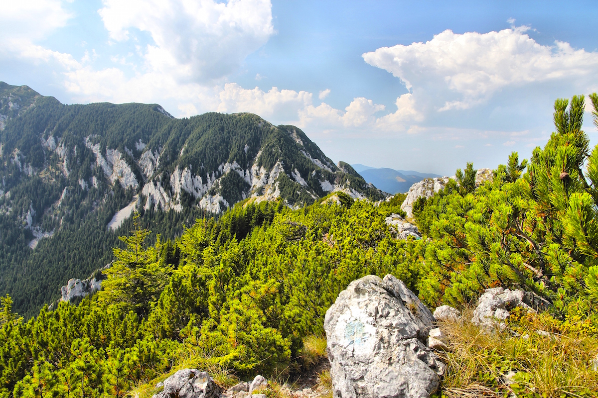Национальный парк Пятра Краюлуй, Румыния, Европа