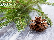 Создаем новогоднее настроение: праздничные мероприятия и мастер-классы пройдут в ЮЗАО на этой неделе