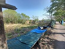 Закон о садовых участках: что ждет владельцев, которые не освоят землю за три года