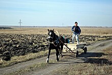 На Южном Урале разыграли гранты среди семейных ферм