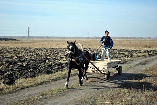 Бизнес Челябинской области оценил снижение ставки единого сельхозналога